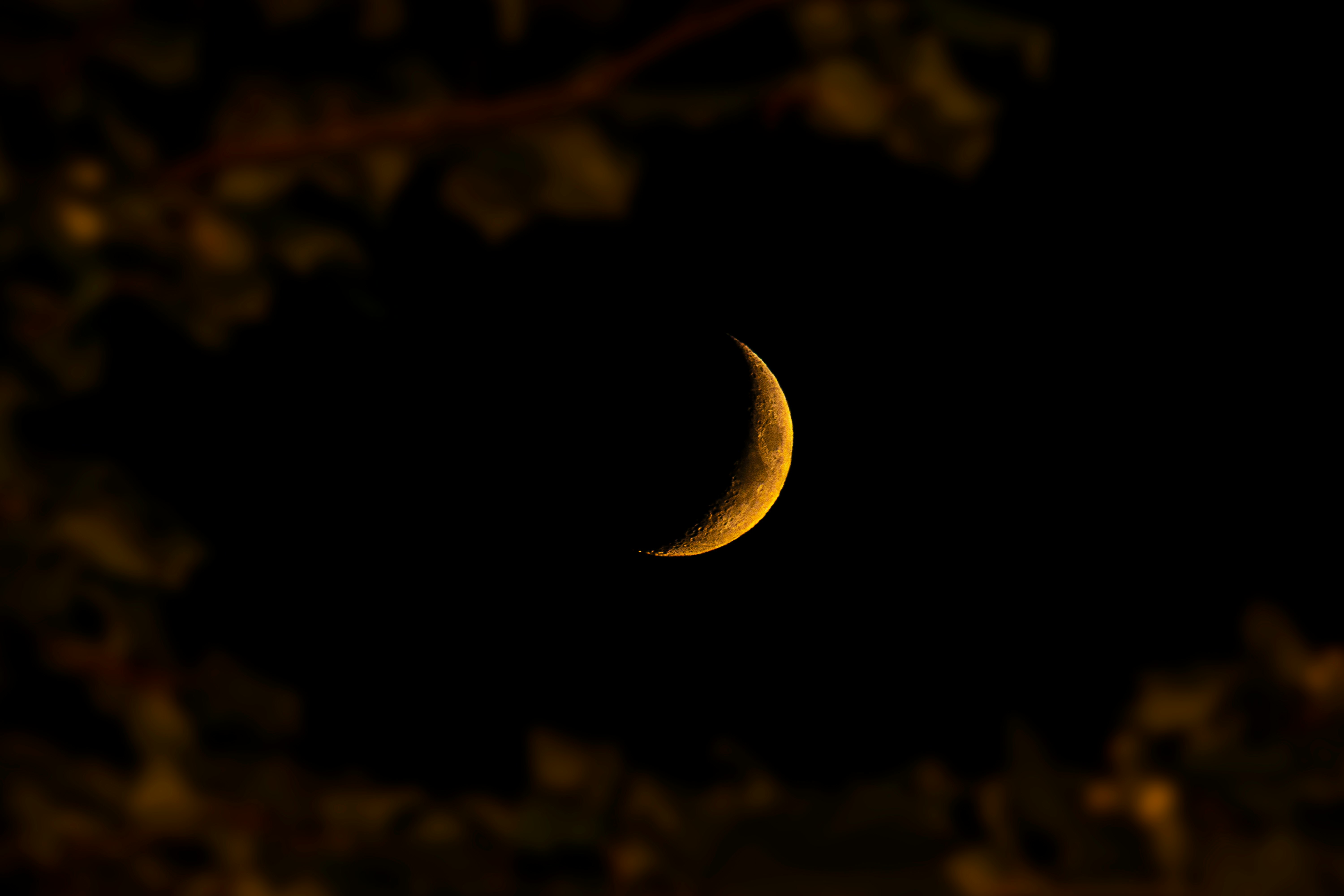 crescent moon